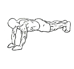 Close-triceps-pushup-2.gif