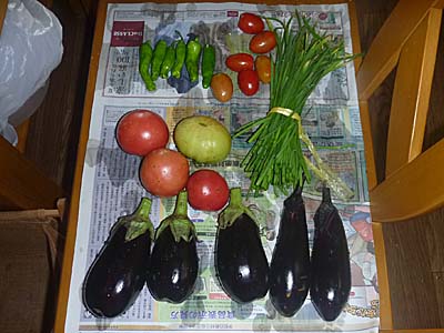 収穫した野菜　なす　とまと　ミニトマトなど　６／２９