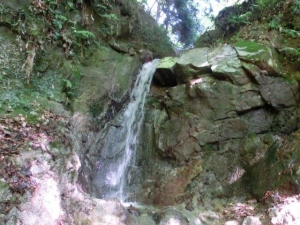 中尾の滝