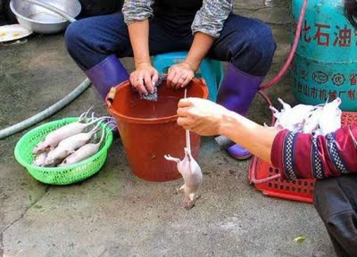 キツネとネズミで作るニセ羊肉、政府職員が病死ブタを横流し、漂白鶏足……中国食肉犯罪10例