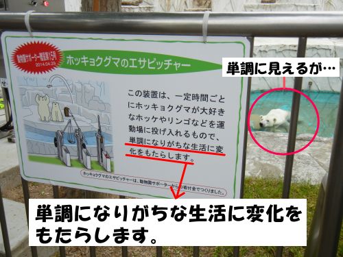 クサガメと暮らす シロクマ デグー系 名古屋市 東山動物園レポ 14