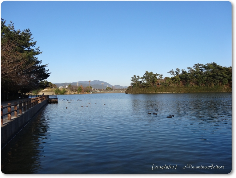 青空と池2014･3･10 025