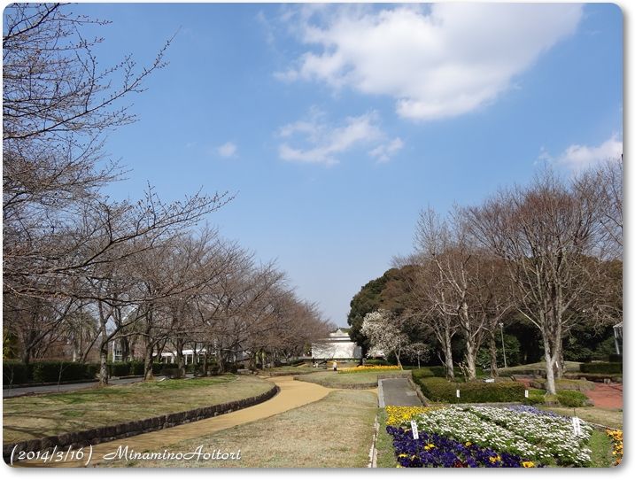 花壇広場と青空2014･3･16 014