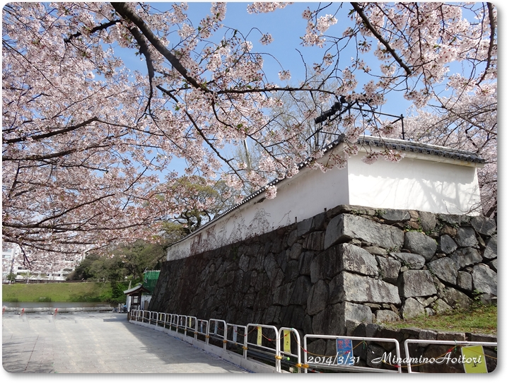 入口塀と桜2014･3･31 282
