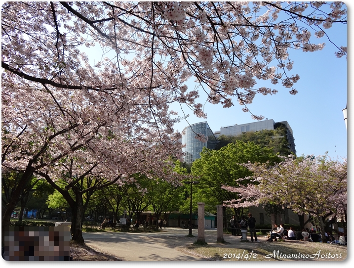 アクロスと桜2014･4･3 060