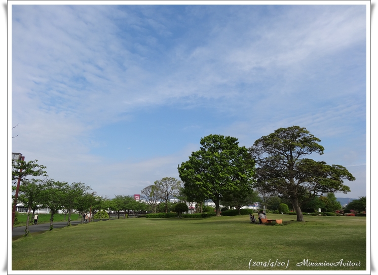 芝生と空2014･4･20 027
