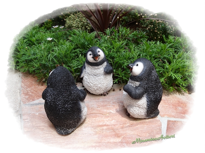 ペンギン2014･5･13 061