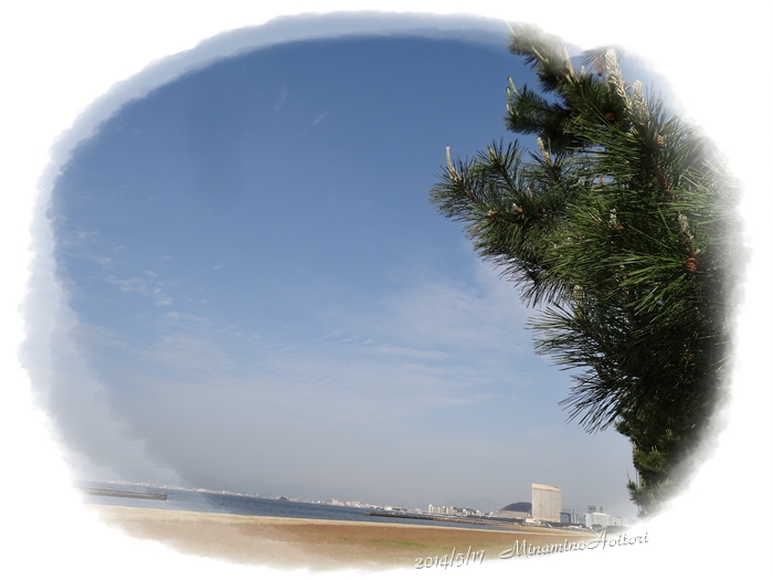 松と青空とドーム2014･5･17 028
