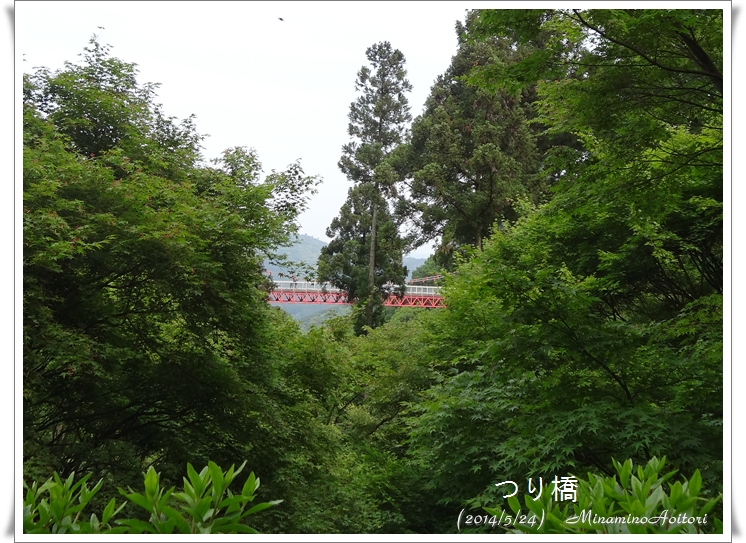 つり橋遠景2014･5･24 080