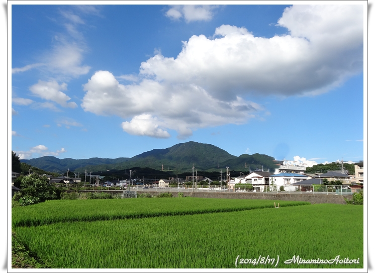 山と田んぼ2014･8･17 085