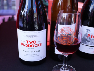 Two Paddock Pinot Noir 2011
