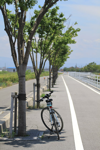 弓ヶ浜自転車道　サイクリングロード
