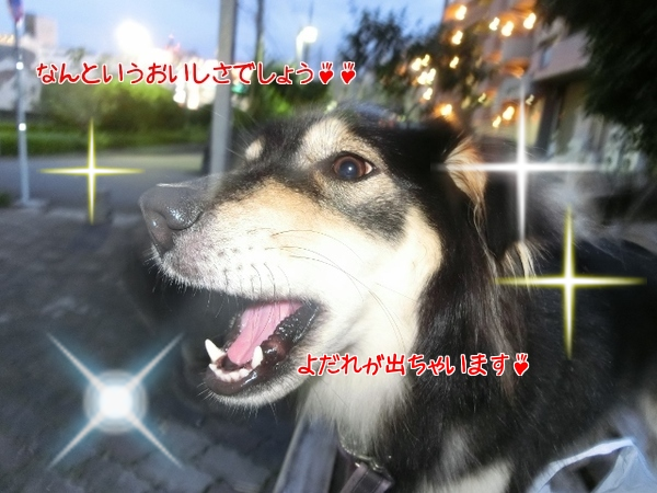 20140918183914b84.png