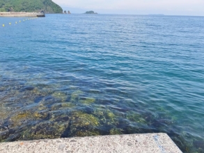 伊豆半島東部～こんなきれいな海で泳いだり釣りしたりするようになりました＼(^o^)／2014.09.03早朝